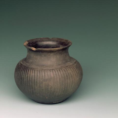 Sen título (CE000275)