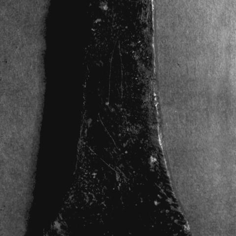 Sen título (CE000316)