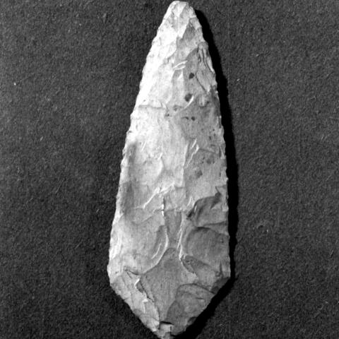 Sen título (CE000466)