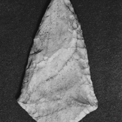 Sen título (CE000468)