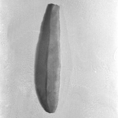 Sen título (CE000469)