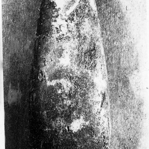 Sen título (CE000506)