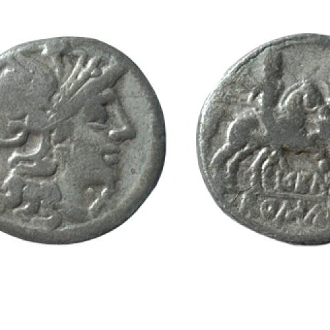 Sen título (CE001419)