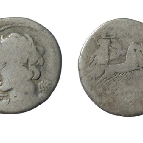 Sen título (CE001421)