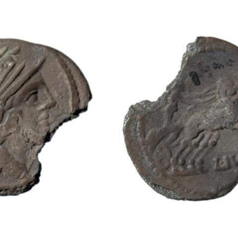 Sen título (CE001428)