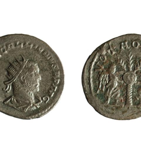 Sen título (CE001477)