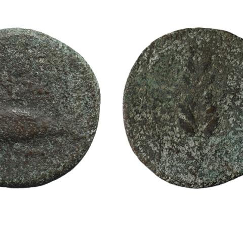 Sen título (CE001555)