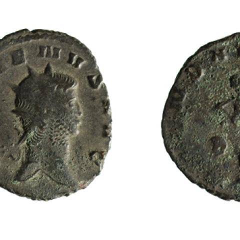 Sen título (CE002176)