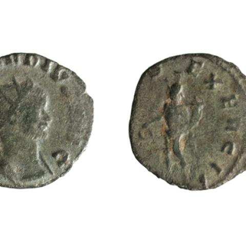 Sen título (CE002222)