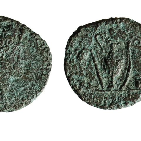 Sen título (CE002399)