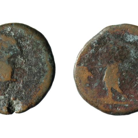 Sen título (CE002418)