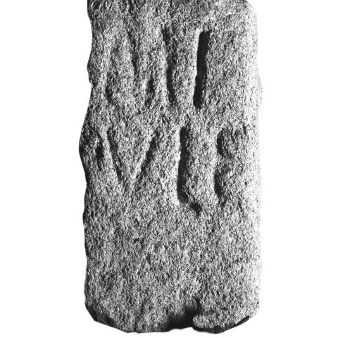 Sen título (CE003022)