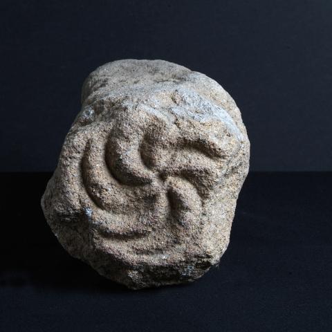 Sen título (CE003408)