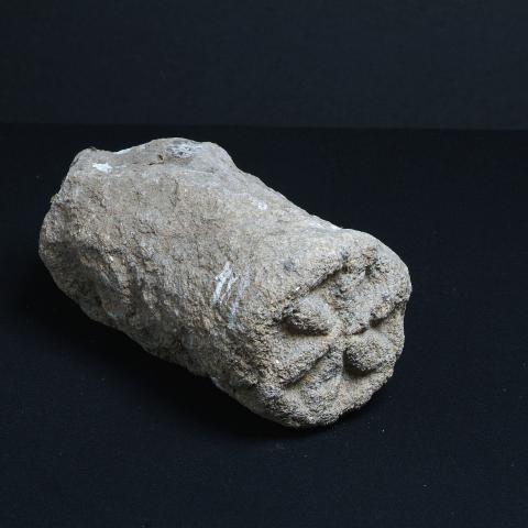 Sen título (CE003417)