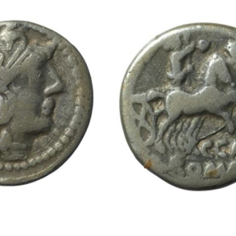 Sen título (CE003528)