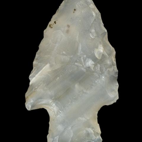 Sen título (CE003629)