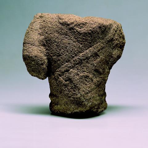 Torso masculino