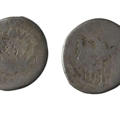 Sen título (CE003716)