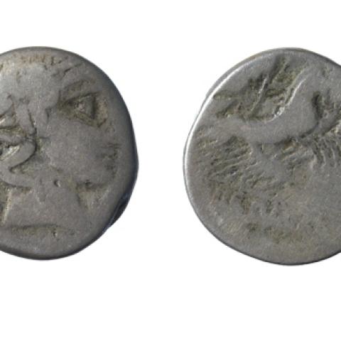 Sen título (CE003723)