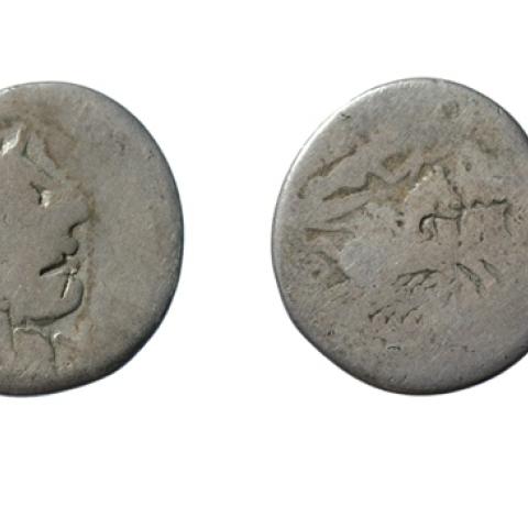 Sen título (CE003726)