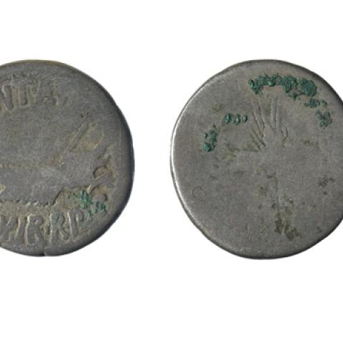 Sen título (CE003733)