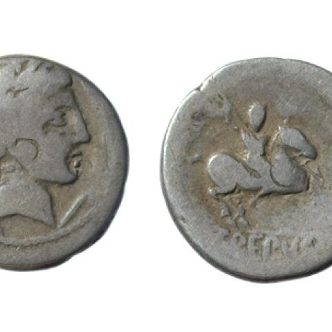 Sen título (CE003754)