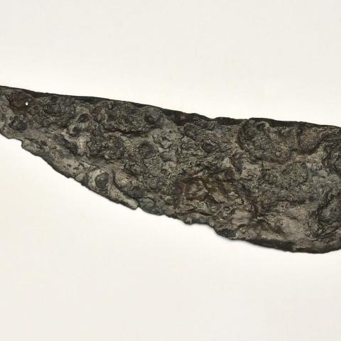 Sen título (CE005230/1)