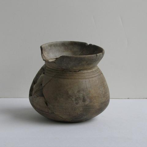 Sen título (CE005231/39)