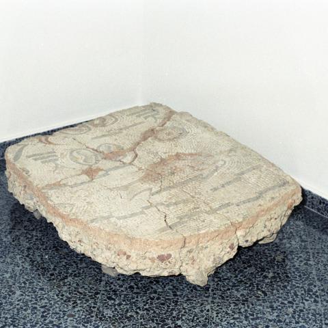 Sen título (CE005239)