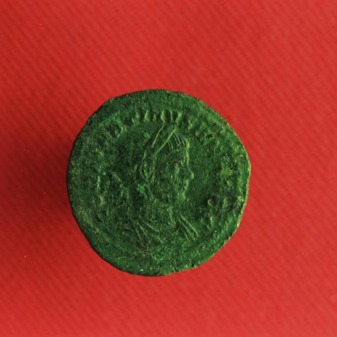 Sen título (CE005246/25)