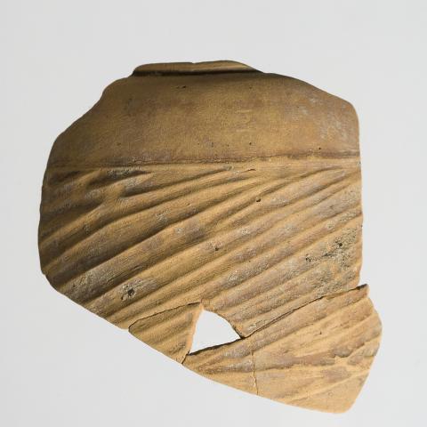 Sen título (CE005246/75)