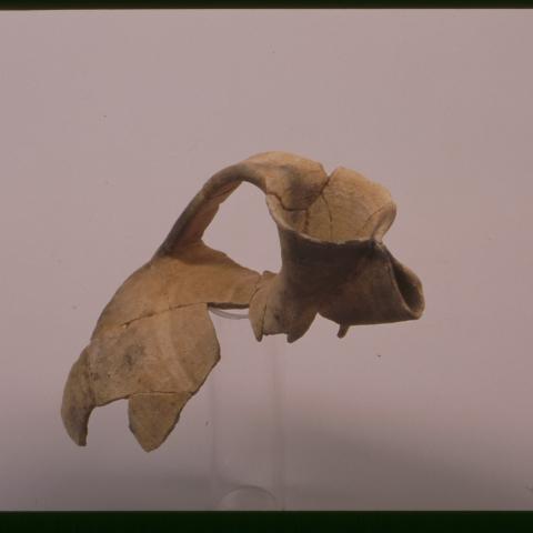 Sen título (CE005270/29)