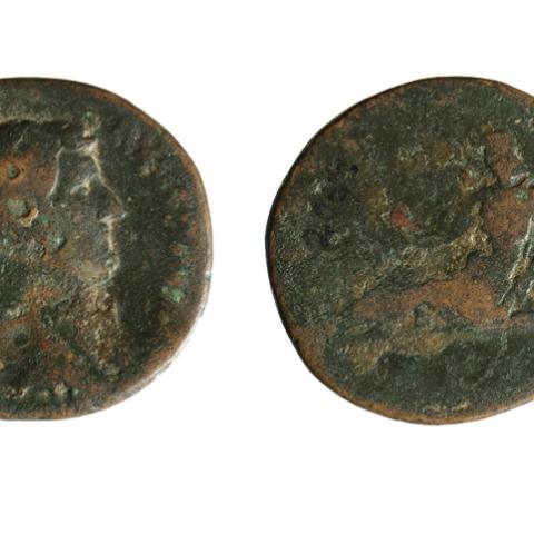 Sen título (CE005637)