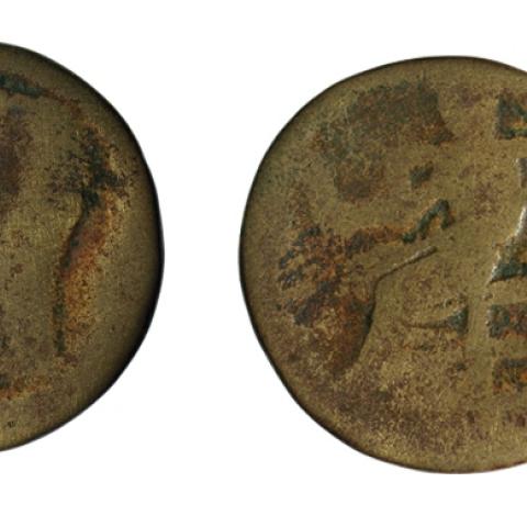 Sen título (CE005738)