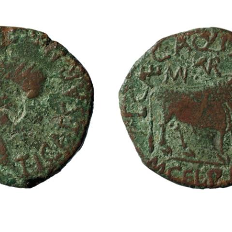 Sen título (CE005820)