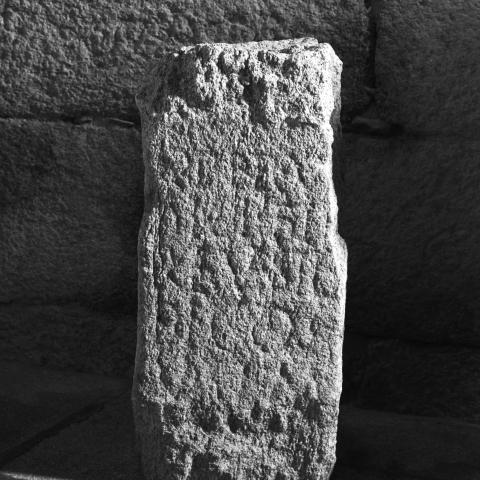 Sen título (CE006109)