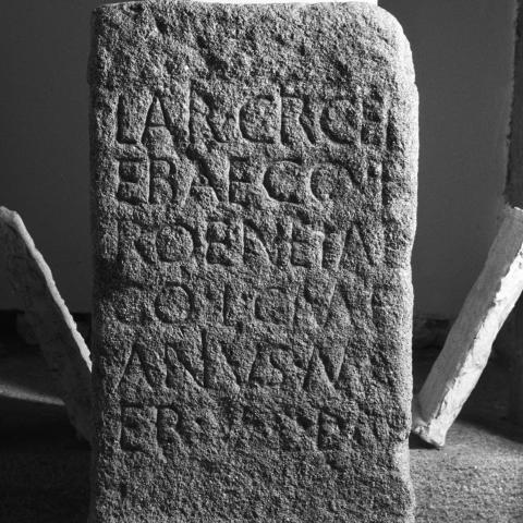 Sen título (CE006110)