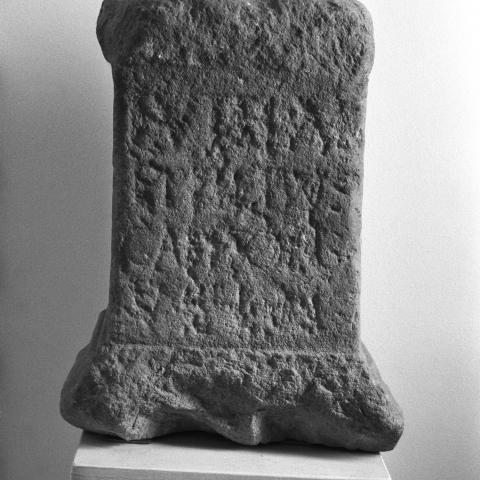 Sen título (CE006111)