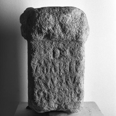 Sen título (CE006113)