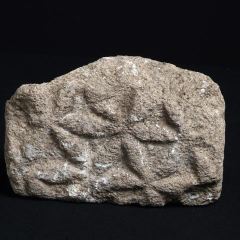 Sen título (CE006353/40)