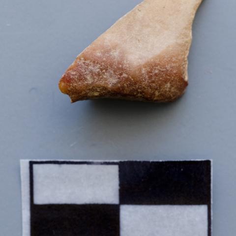Sen título (DX0003/12)