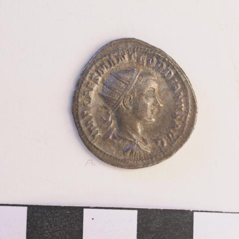Sen título (DX0008/108)