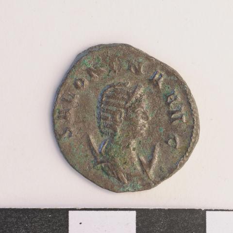 Sen título (DX0008/115)