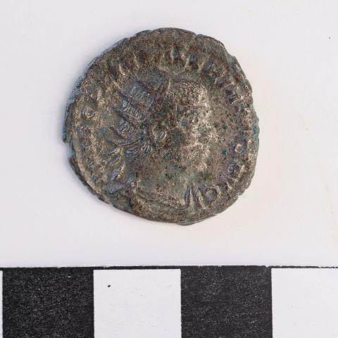 Sen título (DX0008/116)