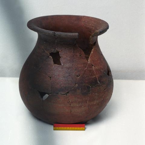 Sen título (DX0008/142)