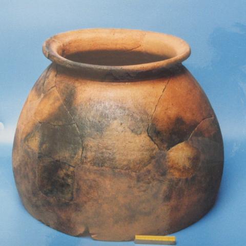Sen título (DX0008/149)