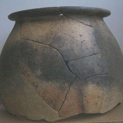 Sen título (DX0008/150)