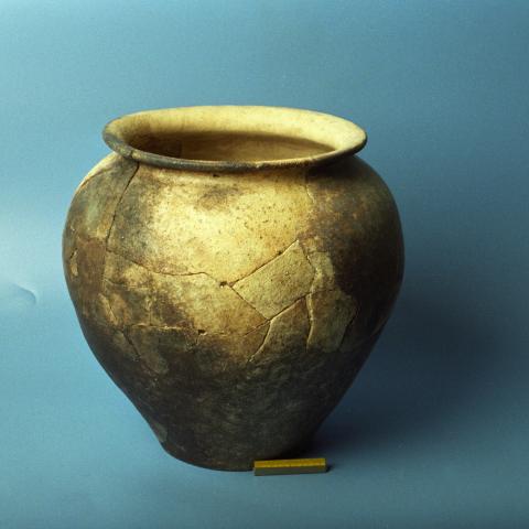 Sen título (DX0017/62)
