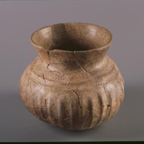 Sen título (DX0054/1)