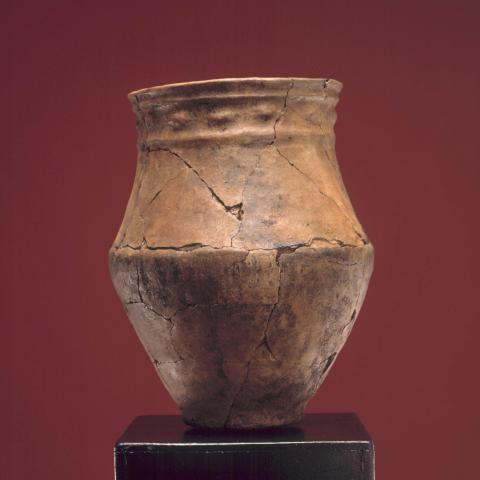 Sen título (DX0147)